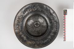 Foto von Bronzebreitrandfußschale (NHMW-PRAE-025274)